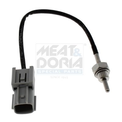 Sensor Abgastemperatur