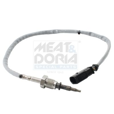 Sensor Abgastemperatur