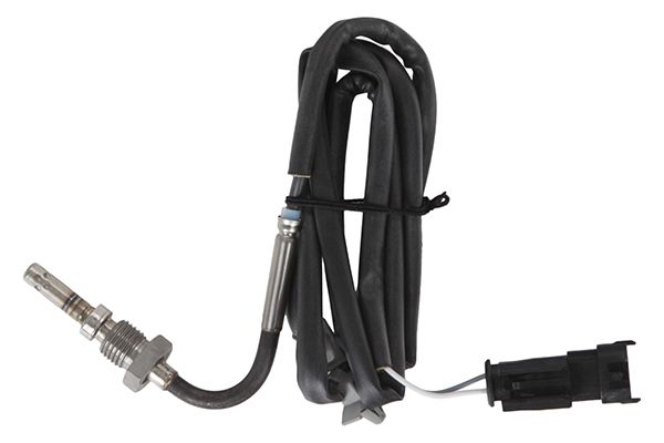 Abgastemperatursensor