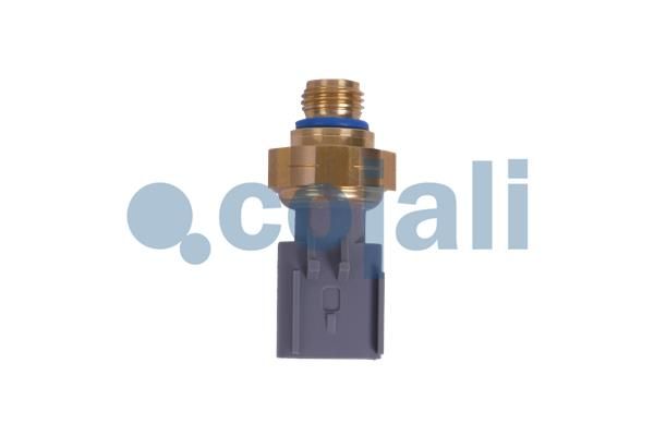 Abgasdrucksensor Differenzdruck
