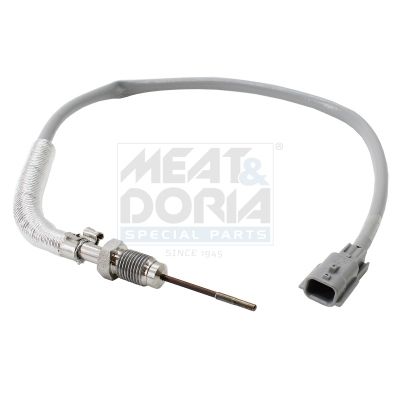 Sensor Abgastemperatur