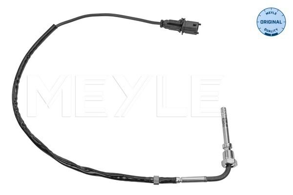 Sensor Abgastemperatur