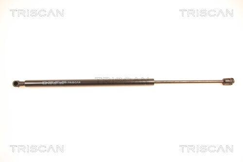 Set: 2 × Gasfeder