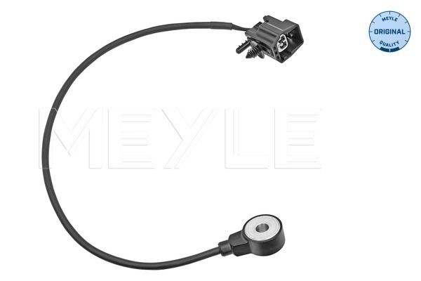Klopfsensor