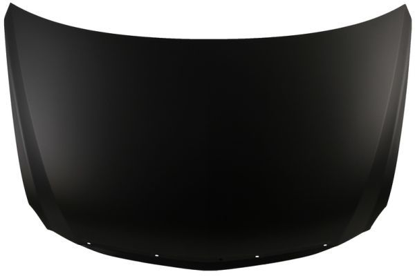 Motorhaube Haube