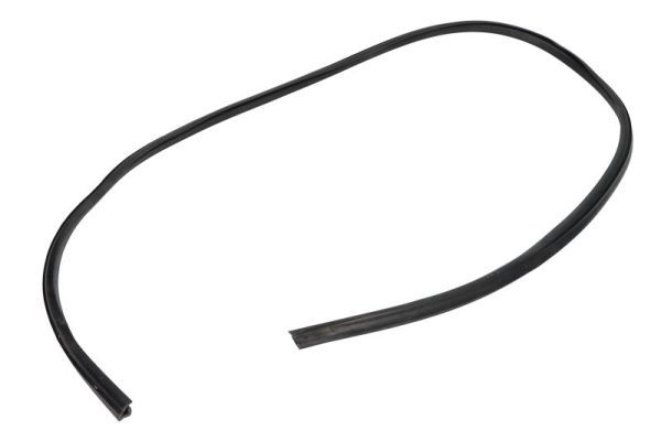 Dichtung Windschutzscheibe
