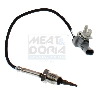 Sensor Abgastemperatur