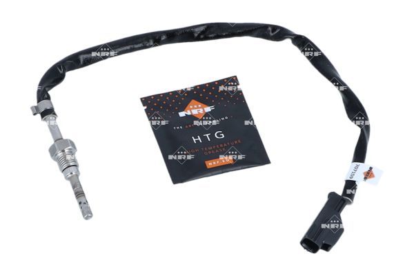 Sensor Abgastemperatur