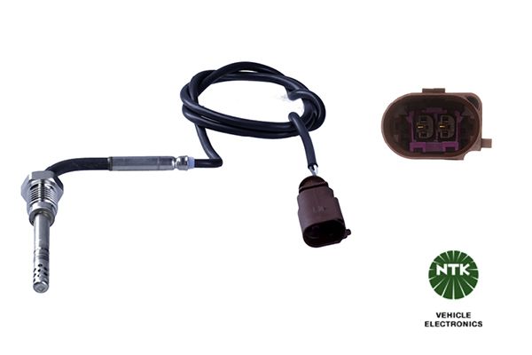 Sensor Abgastemperatur