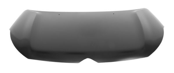 Motorhaube