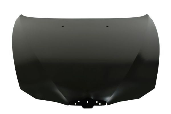 Motorhaube Haube
