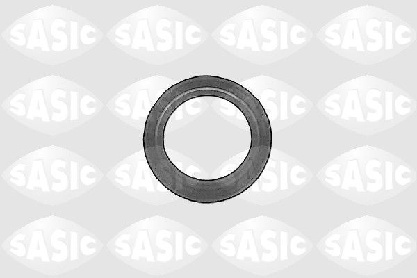 Wellen Dichtring Differential