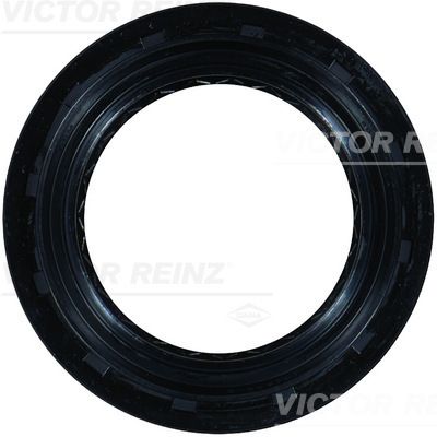 Wellen Dichtring Differential