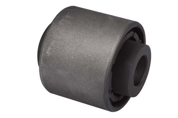 Querlenker Silentblock hinten