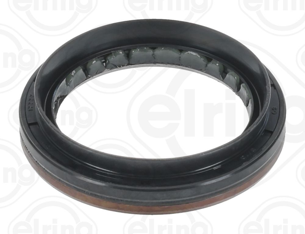 Wellen Dichtring Differential