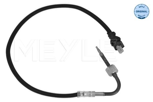 Sensor Abgastemperatur