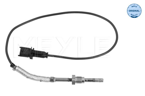 Sensor Abgastemperatur