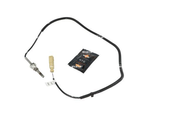 Sensor Abgastemperatur