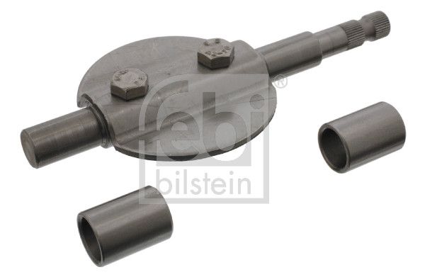Abgasklappe Motorbremse