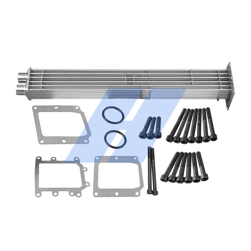 Reparatursatz, AGR-Modul