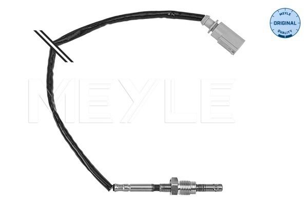 Sensor Abgastemperatur