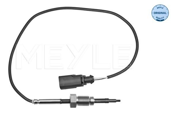 Sensor Abgastemperatur