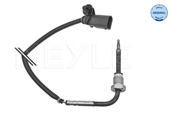 Sensor Abgastemperatur