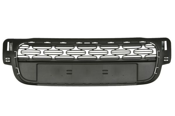 Stoßstange Gitter