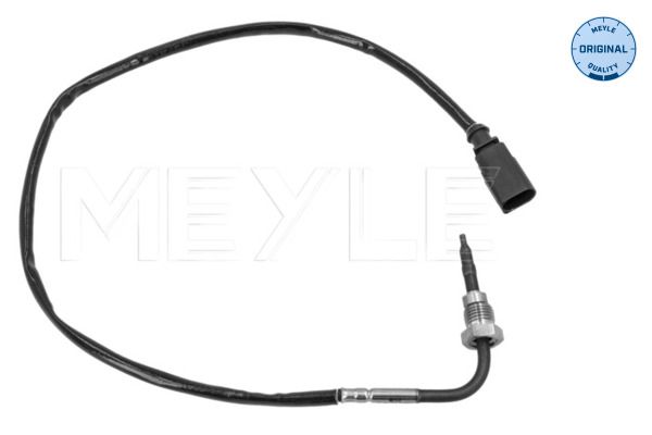 Sensor Abgastemperatur