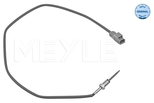Sensor Abgastemperatur