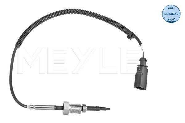Sensor Abgastemperatur