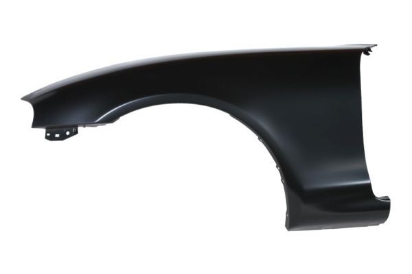 Set: 2 × Kotflügel vorne