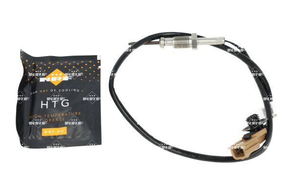 Sensor Abgastemperatur