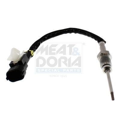 Sensor Abgastemperatur