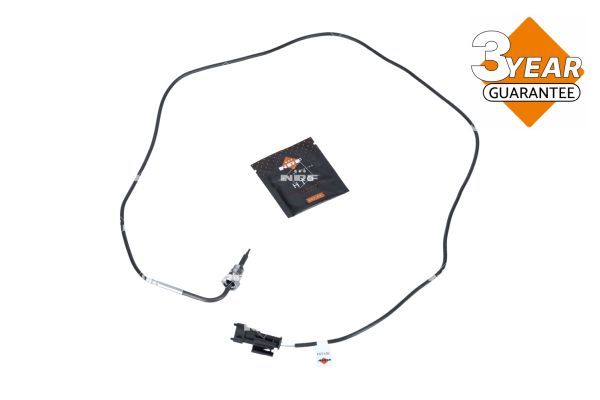 Sensor Abgastemperatur