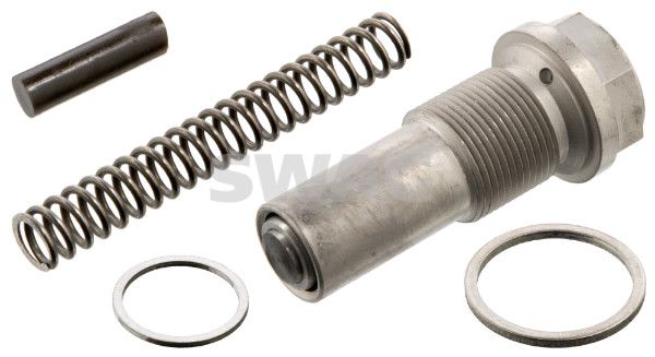 Spanner Steuerkette