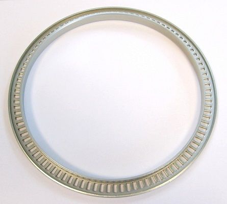 Sensorring ABS