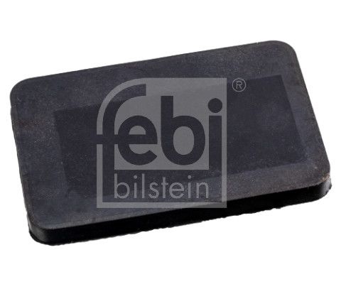 Federbuchs Blattfeder