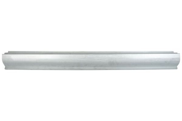 Einstiegsblech Schweller