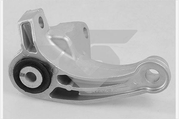 Halter Motoraufhängung