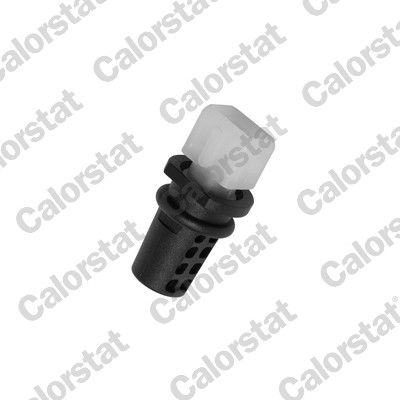 Sensor Ansauglufttemperatur