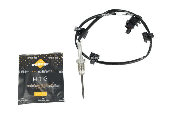 Sensor Abgastemperatur