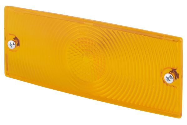Lichtscheibe Blinker Blinkleuchte
