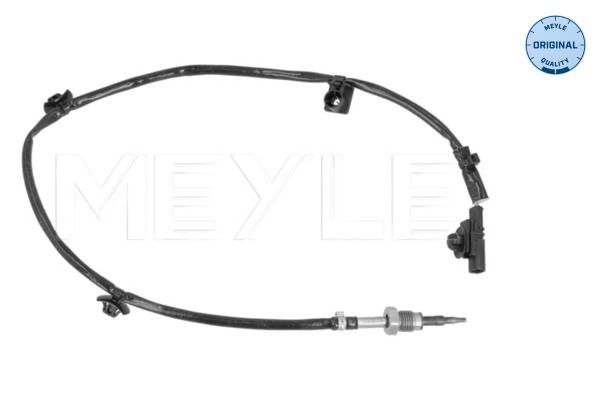 Sensor Abgastemperatur