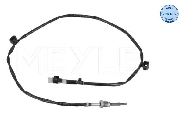 Sensor Abgastemperatur