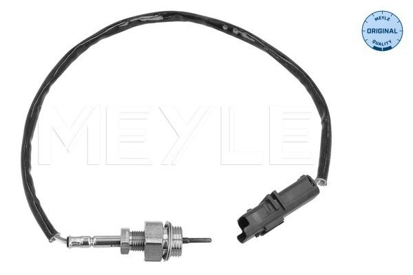 Sensor Abgastemperatur