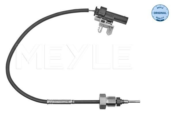 Sensor Abgastemperatur