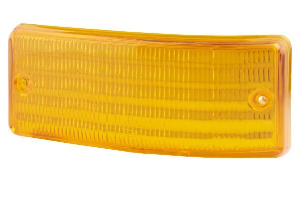 Lichtscheibe Blinker Blinkleuchte