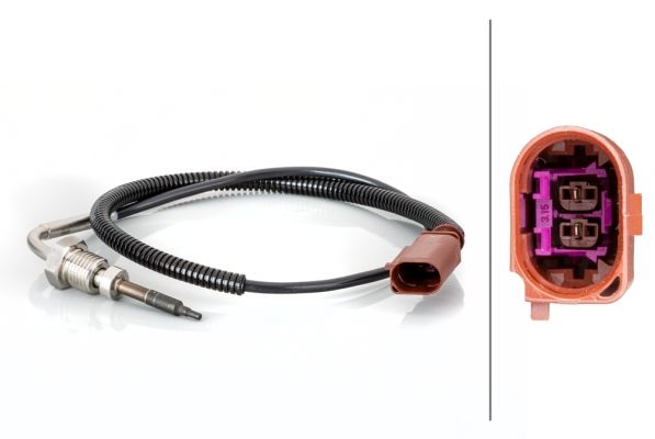 Sensor Abgastemperatur