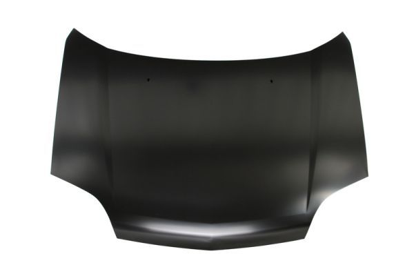 Motorhaube Haube